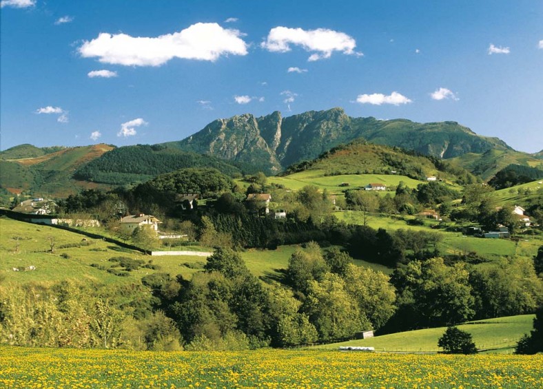 EUSKADI GASTRONOMIKA: ERRENTERIA - LEZO - OIARTZUN - PASAIA Imagen 1