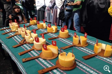 ORDIZIA VOLVIÓ A VIVIR LA GRAN FIESTA DEL QUESO Imagen 1