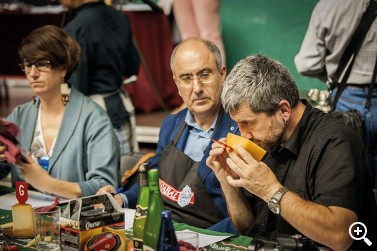 ORDIZIA VOLVIÓ A VIVIR LA GRAN FIESTA DEL QUESO Imagen 1