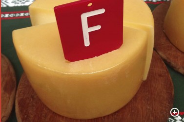 EL QUESO GANADOR DE ORDIZIA, SE QUEDÓ EN CASA Imagen 1