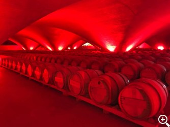 OTAZU: DEGUSTANDO “TERROIR” Imagen 1
