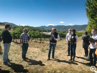 OTAZU: DEGUSTANDO “TERROIR” Imagen 1