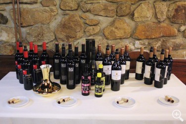 5º ENCUENTRO DE VINO Y CHULETA EN EL RESTAURANTE PATXIKU-ENE ... Imagen 1