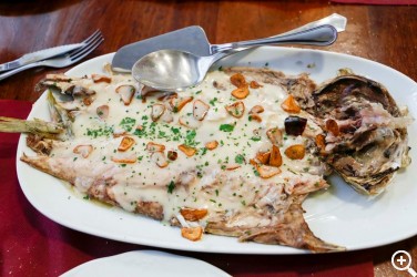 ASADOR RIOJANOS: EL TEMPRANO FINAL DE UN SUEÑO Imagen 1