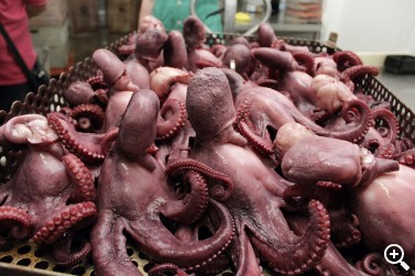 SALANORT: LA EXCELENCIA TIENE PREMIO Imagen 1