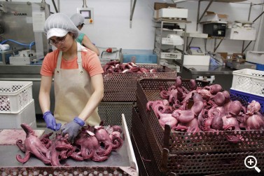 SALANORT: LA EXCELENCIA TIENE PREMIO Imagen 1