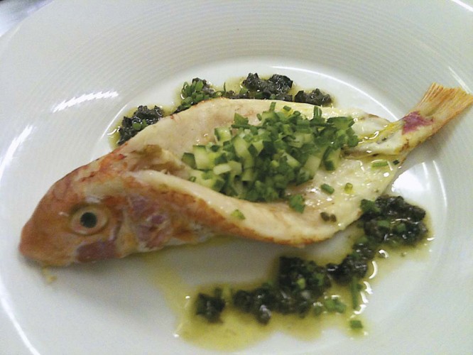 Julio: EL SALMONETE Imagen 1