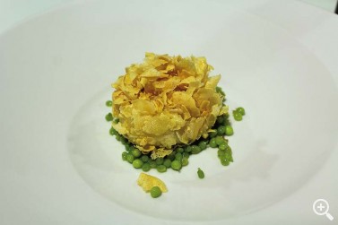 TUDELA PROTAGONIZÓ “LA REVOLUCIÓN DE LAS VERDURAS” Imagen 1