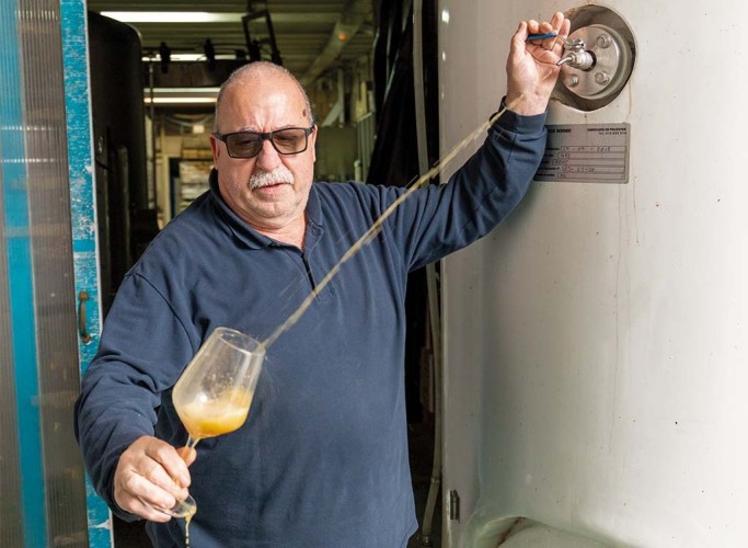 DEMETRIO TERRADILLOS GONZÁLEZ, ELABORADOR DE SIDRA Imagen 1