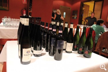 IMPRESIONANTE CATA DE VINOS EN ZEZILIONEA Imagen 1