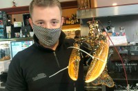 EL VASKITO (Donostia): La clave está en el producto