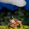 TEXTURA, TEMPERATURA Y SABOR