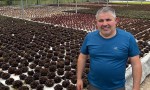 JAIME BURGAÑA: DEL  BARCO A LA HUERTA