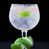 LOS ORÍGENES DEL GIN & TONIC
