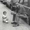 LOS VINOS DE LA MEMORIA