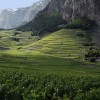 PAISAJES DE PELÍCULA Y VINOS SORPRENDENTES