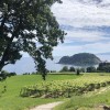 TXAKOLI!
