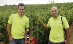BODEGAS EL OTERO-AIMAREZ: LA FUERZA DE UNA FAMILIA