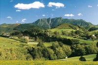 EUSKADI GASTRONOMIKA: ERRENTERIA - LEZO - OIARTZUN - PASAIA