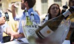 DONOSTIA ACOGERÁ POR PRIMERA VEZ LA CITA VINÍCOLA “TORRES EXPERIENCE”